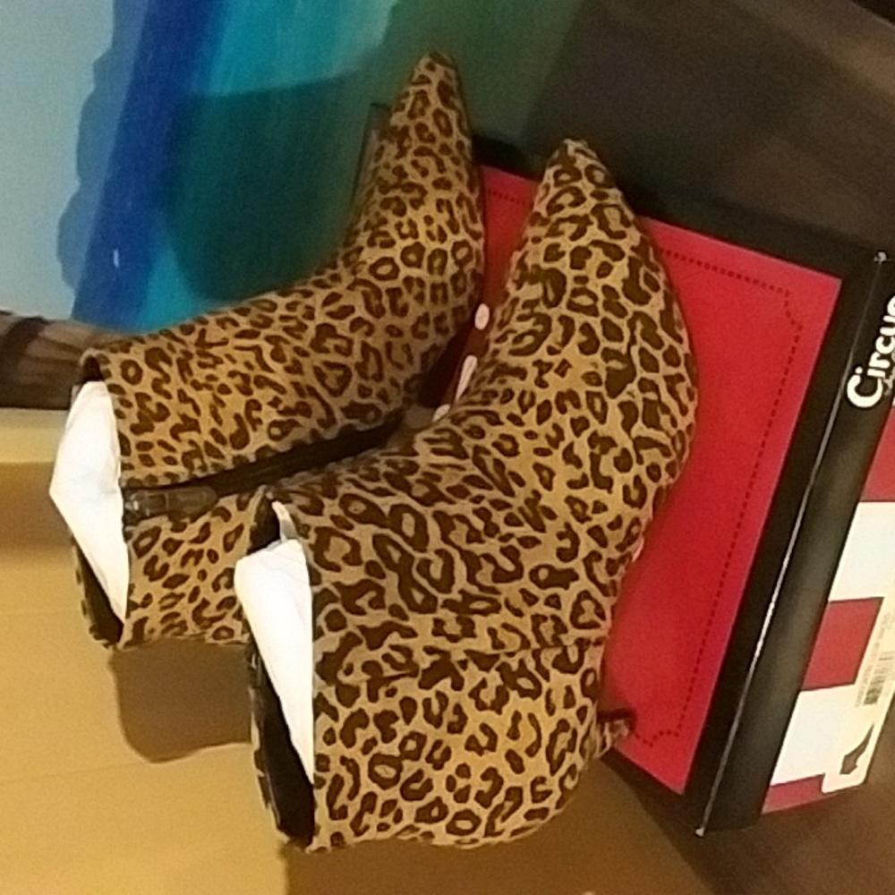 Circus by Sam Edelman bootie